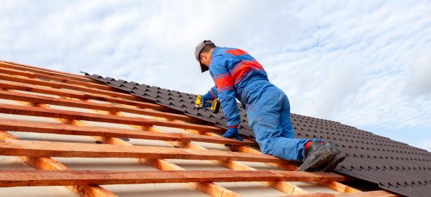Best Asphalt Shingle Roofing  in Columbus, NM