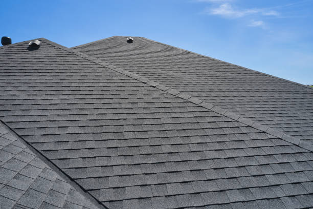 Best Roof Moss and Algae Removal  in Columbus, NM