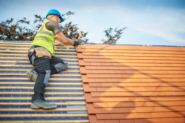 Best Solar Panel Roofing Installation  in Columbus, NM