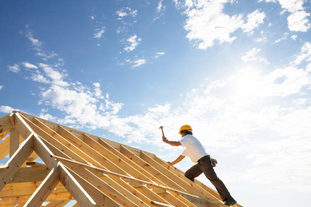 Best Skylight Installation and Repair  in Columbus, NM